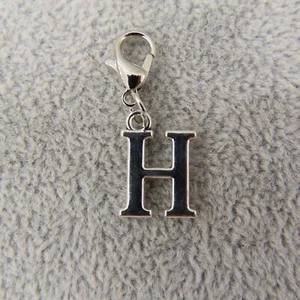 Initiale GROSSBUCHSTABE H Anhänger Reißverschluss Ziehen Schlüsselanhänger Zusatzclip silberfarben neu - Bild 1 von 7