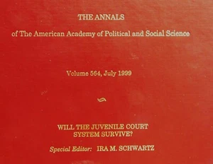 Will The Juvenile Court System Survive? 1999 Annals of Political Social Science - Picture 1 of 3