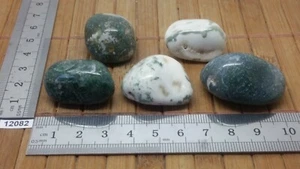 KONVOLUT ACHAT BAUM Rollstein Mineralien Lithotherapie Sammlung Reiki Esoterik - Bild 1 von 1