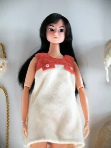 PetWorks Momoko doll 03AWyl - Imagen 1 de 7
