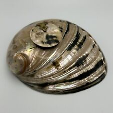Antique 1920s Abalone Shell Inkwell