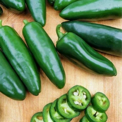 Nadapeno (Heatless Jalapeno) Pepper Seeds - Image 1 of 4