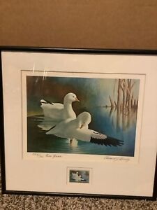 GORGEOUS FRAMED FIRST EDITION 1970 FEDERAL DUCK STAMP PRINT EDWARD BIERLY