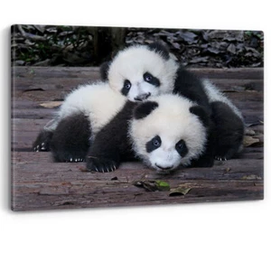 Baby Giant Pandas Cute Playful Framed Canvas Wall Art Picture Print - Picture 1 of 5