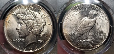 1928 P Peace Silver Dollar $1 PCGS MS 62 Cover