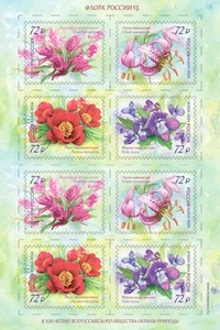 2024 Russia The All-Russian Society for the Protection of Nature MNH - Picture 1 of 1