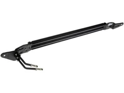 Enfriador de dirección asistida Dorman 33424FNKB para Chevrolet Trailblazer EXT 2002-2006 Foto 1 de 2