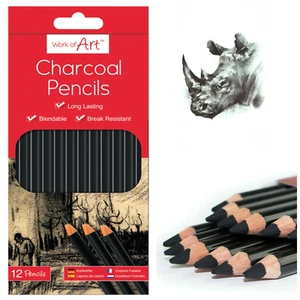 12 x Quality Artist Charcoal Drawing Pencils - Blendable - Break Resistant - Picture 1 of 3