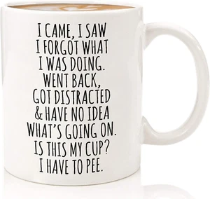 "I Came, I Saw, I Forgot What I Was Doing" Funny Coffee Mug, 11oz – Sarcastic Gi - Picture 1 of 6