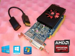 HP Compaq Elite SFF 8000 8100 8200 8300 1GB Low Profile Video Card +HDMI Adapter - Picture 1 of 1