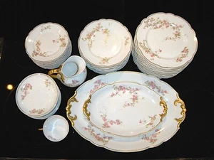 Rare Antique 19th C. Delinieres & Co. (Bernardaud BER192) Limoges France China - Picture 1 of 75