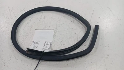 Fiat 500 On Door Seal Rubber Right Passenger Front  2012 2013 2014 2015 2016 201 - Image 1 of 4