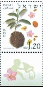 [OOS] Israel #Mi1653 MNH 2002 Plants Shevat [1469eT] - Picture 1 of 1