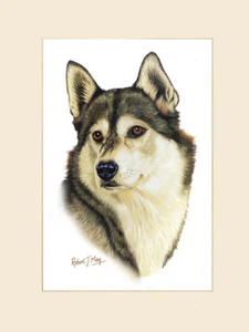 Original Siberian Husky Painting by Robert J. May - Picture 1 of 1