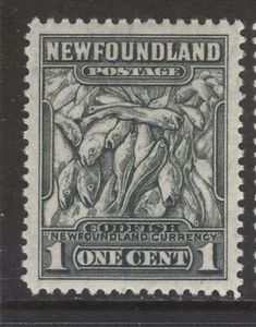 NEWFOUNDLAND 253 NSSC 236II 1941 1c GRAY PILE OF CODFISH P12.5x12.8 MPH CV$20 - Picture 1 of 5