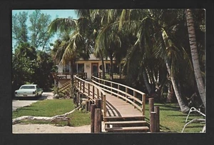 ADVERTISING POSTCARD: McCAUL'S TREE HOUSE GIFT SHOP - CAPTIVA ISLAND, FLORIDA - Bild 1 von 2