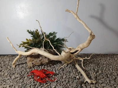 Driftwood aquarium fish & reptiles lg 13x17" natural spiderwood root decor - Image 1 of 4