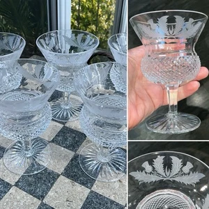 1 EDINBURGH THISTLE Crystal CHAMPAGNE SHERBET ENGRAVED HOBNAIL 4 7/8” Unsigned - Picture 1 of 13
