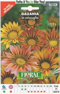 GAZANIA IN MISCUGLIO - DA VASO PER BALCONI-FLORAL - BUSTA SEMENTI - Picture 1 of 1