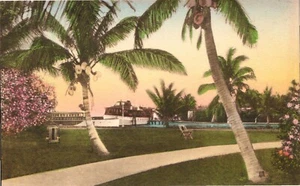 Miami Beach, FL The Nautilus Hotel Docks Hand-Colored Postcard Unposted - Picture 1 of 2
