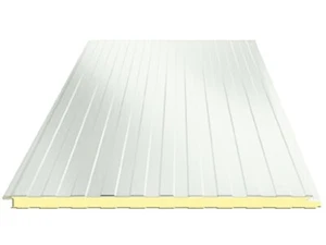 Wand Sandwichplatten, Sandwichelemente, Sandwichpaneele 300x100 cm (Kern 40mm) - Bild 1 von 1