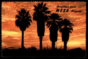 Postal Palmeras al atardecer, Mesa, AZ - Imagen 1 de 2