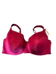 NWT Cacique Womens 44DD Bra Balconette Maroon Underwired Everyday solutions - Picture 1 of 6