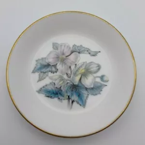 Plato de mantequilla china hueso fino Royal Worcester - Hecho en Inglaterra - Imagen 1 de 5