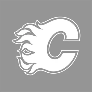 Calcomanía adhesiva de vinilo de 1 color con logotipo del equipo de la NHL Calgary Flames pared ventana coche - Imagen 1 de 7
