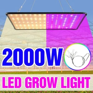 Grow Light Vollspektrum LED Indoor Pflanzen Lampe Blume 2000W Gemüse Blüte wachsen - Bild 1 von 9