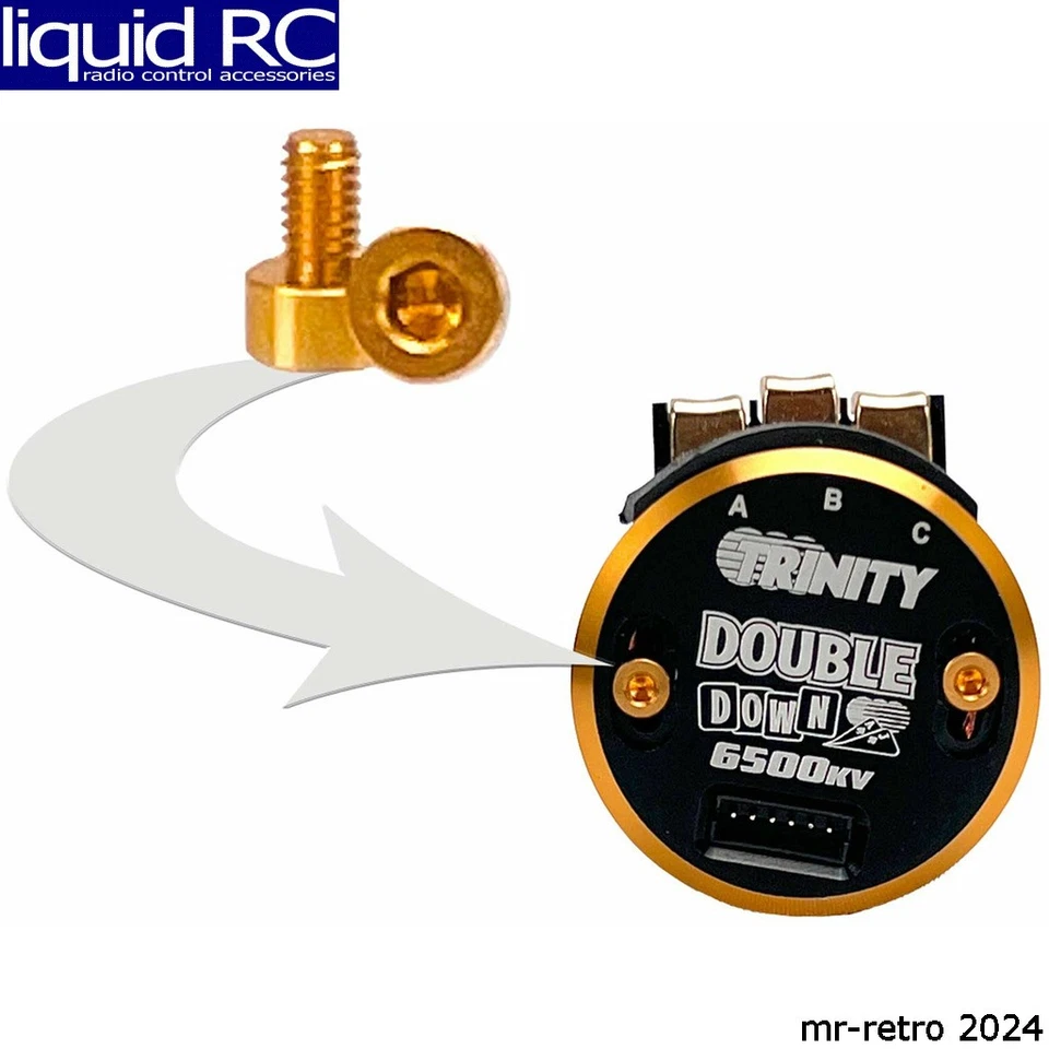 Trinity TEP2115 Aluminum Timing Screws Non-Magnetic (2) (Gold)-TEP2115 - Image 1 of 1