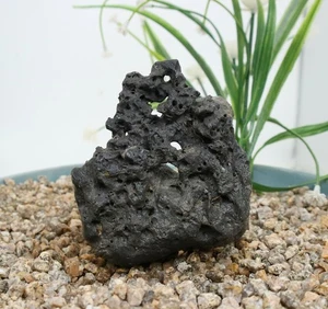 Viewing stone suiseki-scholar rock Ying stone Rough Decor Rockery bonsai J275 - Picture 1 of 4