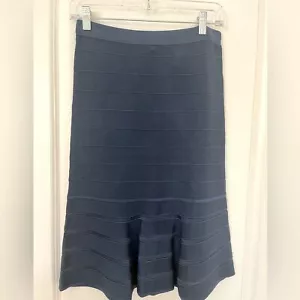 NWOT Sandro Paris Womens Viscose Pleated Blue Stretch Skirt Size 3/Medium - Picture 1 of 5