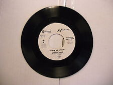 Jim Chesnut Show Me A Sign/Same(MONO Promo) 45 RPM ABC Records