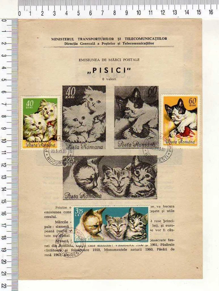 13740) Romania 20.3.1965 FDC Folder Cats - Gatti "Pisici" - Image 1 of 1