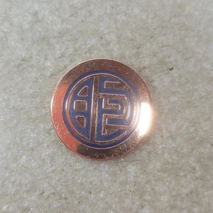 Pin VNSNY Símbolo Azul Insignia de Metal Servicio de Enfermera Visitante de Nueva York Orgullo de Salud - Imagen 1 de 3