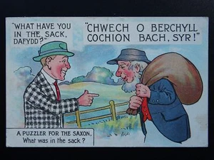 CYMRU What was in the Sack? CHWECH O BERCHYLL COCHION BACK c1920 Comic Postcard - Picture 1 of 2