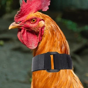  4 Piezas Suministros para Pollos Collar para Mascotas Gallo para Dejar de Cantar Flexible - Imagen 1 de 12