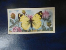 Great Britain Brooke Bond original 1963 tea card "British Butterflies",  No.45. 
