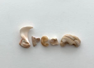 DREAM natural shell fragment letters beach seashells craft art word surf tumbled - Imagen 1 de 12