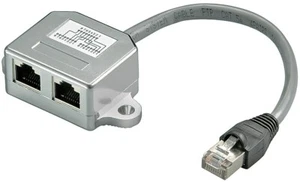 Câble de raccordement Cat.5 2 séparateurs Y 10/100 Mbit BaseT 0,1 m - Photo 1/1