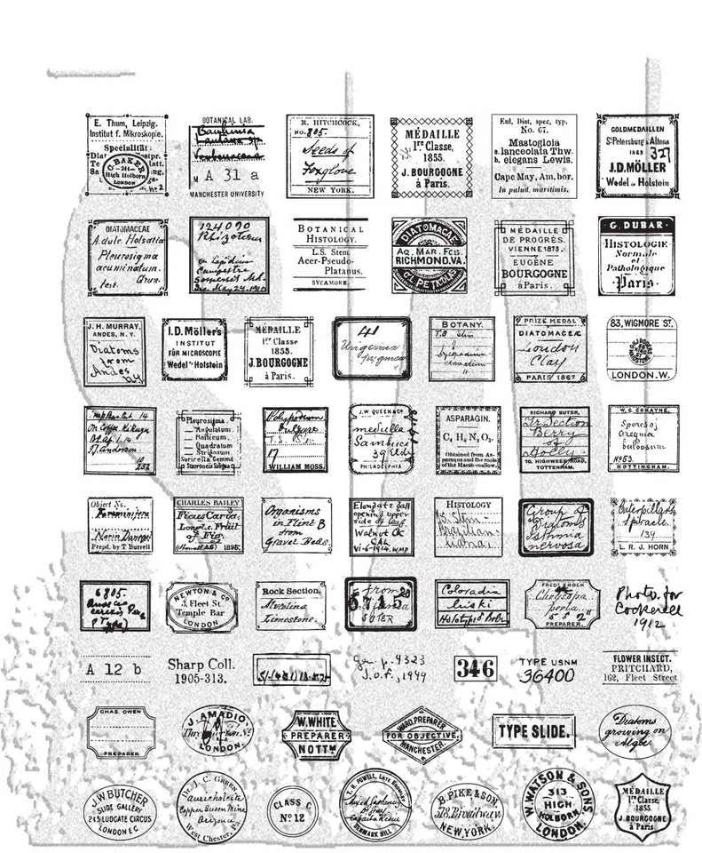 Estampillas adhesivas de Tim Holtz 7"X8,5"-curador Foto 1 de 1