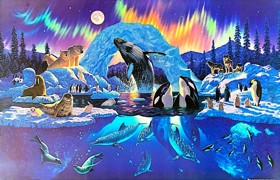 Poster Arctic Animals Whales Penguins Seals Wolves Polar Bears Northern Lights - Image 1 of 1