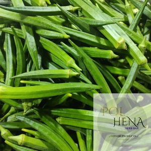 Dried Okra Slices 1 oz Dehydrated Food For Soups Stews Natural Organic Vegetable - Picture 1 of 5