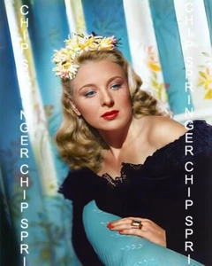 EVELYN ANKERS Portrait #17 | 8X10 BEAUTIFUL COLOR PHOTO BY CHIP SPRINGER - Picture 1 of 1