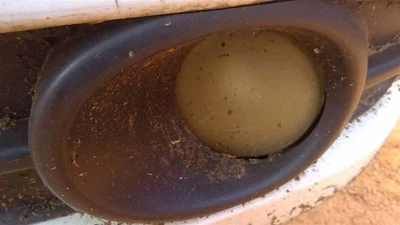 Corner/Park Light Fog-driving Fits 07-12 GALANT 256478 - Image 1 of 4