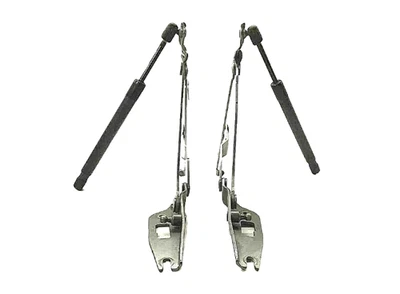 Audi A4 2004-2010 tapa maletero bisagra pasajero derecho e izquierdo 8E5827302C Foto 1 de 4