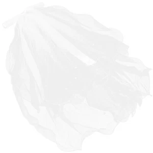 Prinzessin Diadem Hochzeitsschleier für Mädchen Kapelle Kommunionschleier First - Bild 1 von 12