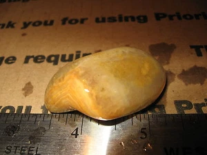 crowley ridge agate rock sweet pattern fortified not polished 1.62 oz 2 x 1 x 1 - Picture 1 of 3