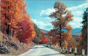 Autumn Colors Along Winding Roads Maine Postcard Unposted - Picture 1 of 2